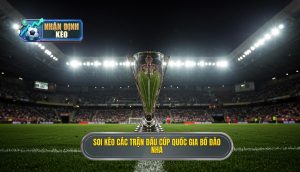 Soi kèo các trận đấu cúp quốc gia Bồ Đào Nha