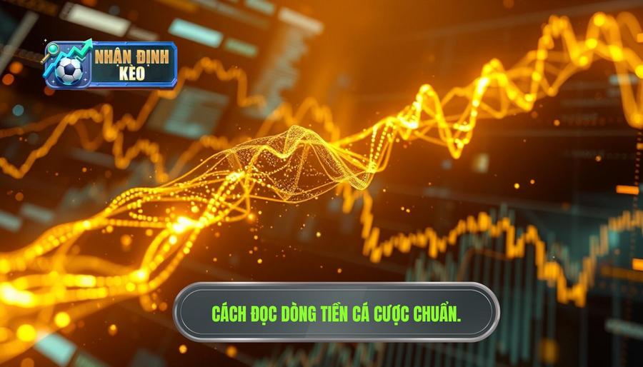Dòng tiền cá cược là gì? Tại sao phải học cách đọc dòng tiền?