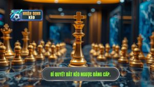 Kinh nghiệm bắt kèo ngược đám đông: Nghệ thuật đi ngược dòng để chiến thắng